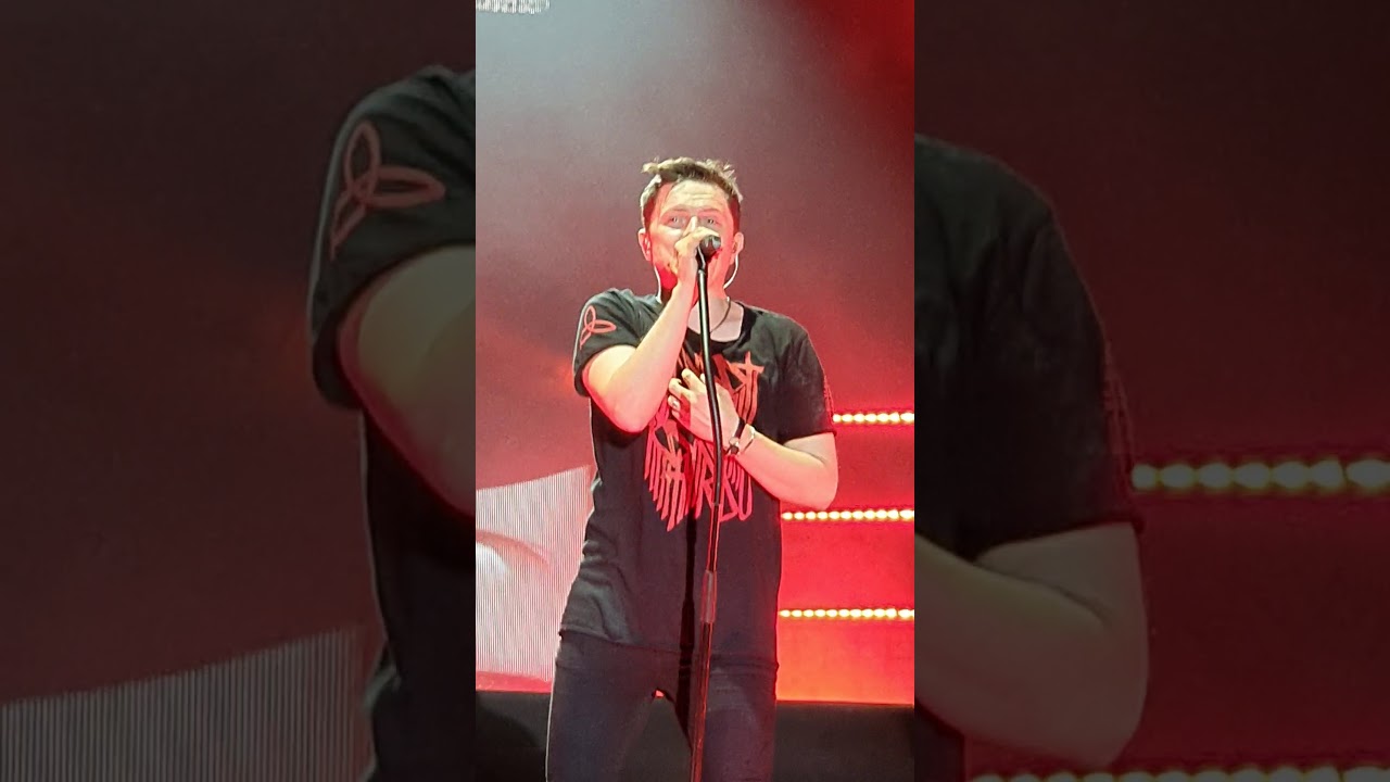 Michael Patrick Kelly - Run Jump Fly ( iD Tour , Dresden, 03.08.2019)