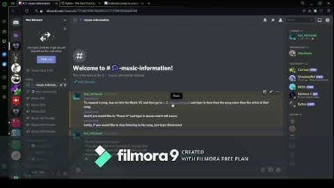 How to get Rythm Bot on your discord server