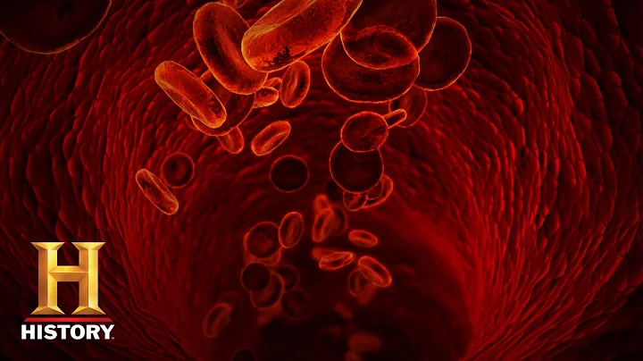 Ancient Aliens: Rh-Negative (Season 11) | History