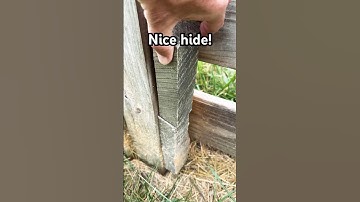 Another sweet cache! #awesome #geocaching #cool #geocachers #coolest #geocache #geocaching