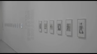 Famous Documentaire : Quelques notes sur Michael Schmidt Profile