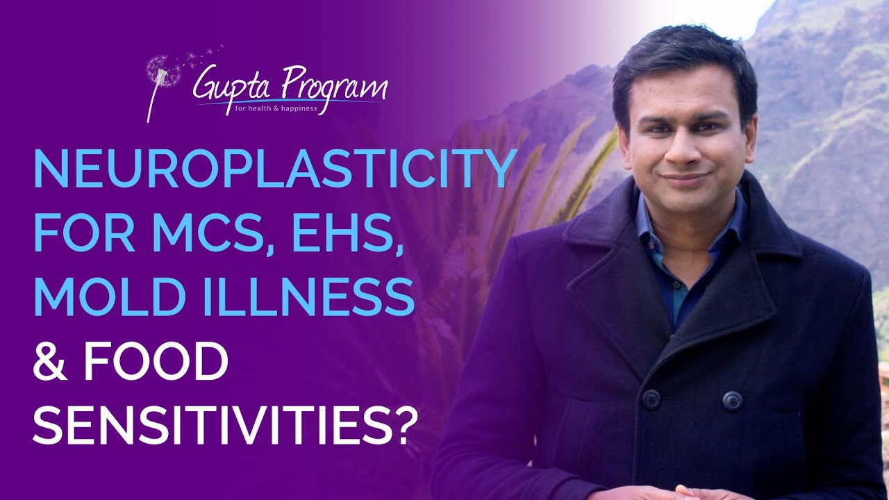 MCS, EHS, Mold Illness & Food Sensitivities Amygdala & Insula Hypothesis | Gupta Program |