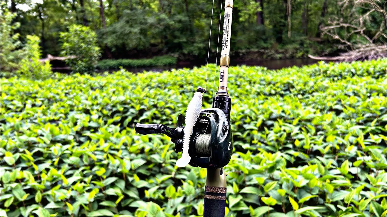 Summer Creek Fishing For Bass!!! Wet Wading, It’s Hot!