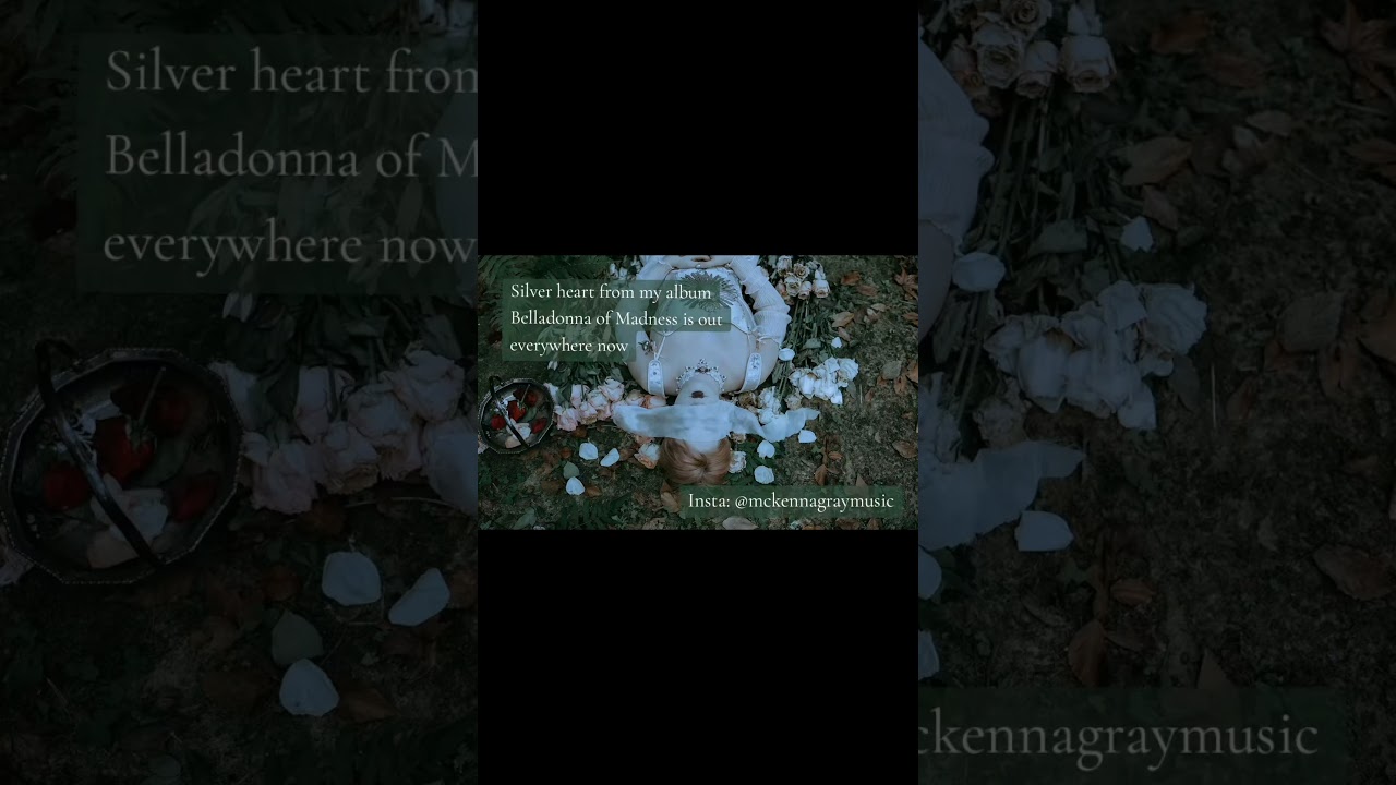 Silver Heart by McKenna Gray (me heh) is out now!🥀 