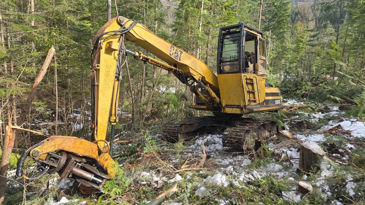 Сегодня был отличный день для работы лесорубом-гипо!