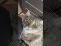 22 липня 2025 р.