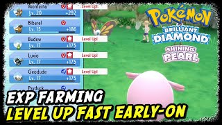 How to Level Up Fast Early-On EXP Farming in Pokemon Brilliant Diamond & Shining Pearl