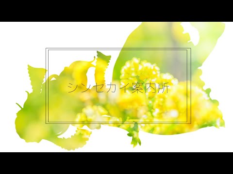 【東方MV】シンセカイ案内所
