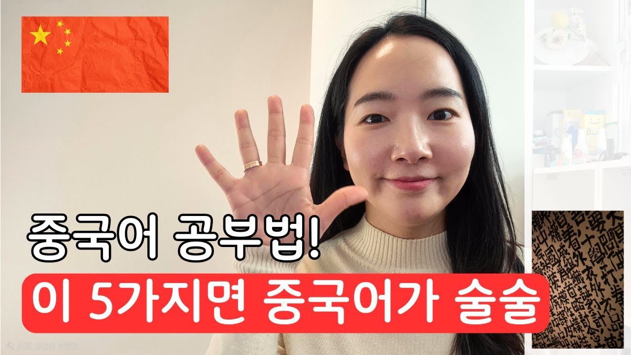 대박입니다... 중국어는 이거 5개만 미친듯이 하면 충분합니다!