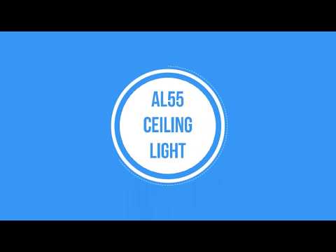 Outdoor Ceiling Light Demonstration