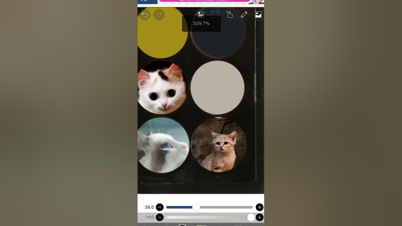 палека🐈🍪💝 - YouTube