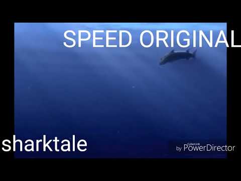 Finding Nemo barracuda speed
