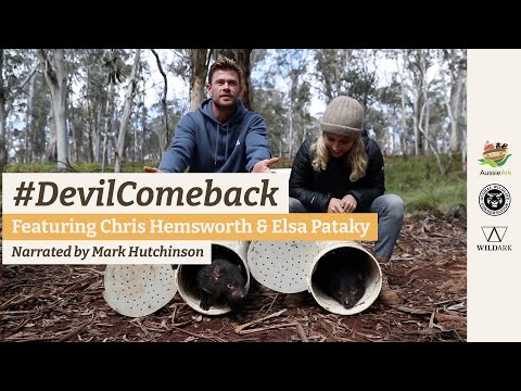 #DevilComeback Featuring Chris Hemsworth & Elsa Pataky