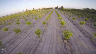 HobbyWing xRotor Race Pro 2207 1750kv Motor Impressions