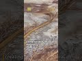 Un « arbre géant » sculpté par les eaux dans la région autonome du Xizang