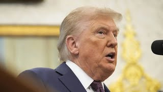 Download Lagu BRUTAAL: Trump krijgt het nieuws waar hij het meest bang voor was MP3 Download Lagu BRUTAAL: Trump krijgt het nieuws waar hij het meest bang voor was MP3