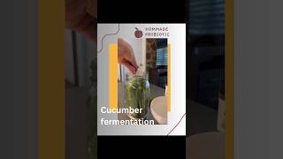 Preparing a probiotic at home in 2 minutes. Fermented cucumbers.