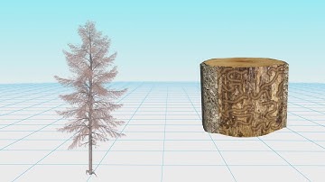 Climate change pushing tree-killing beetles north