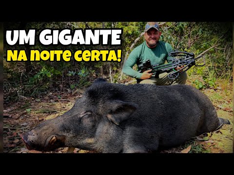 Giant boar hunt with @crishuntbrasil and the group that won the raffle.
