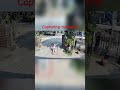 Capturing moment #dailyoflinda #pets #shorts #funny