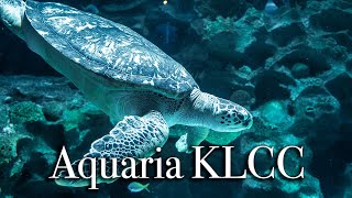 aquaria KLCC in Kuala Lumpur | Largest Aquarium in Malaysia【Full Tour in 4k】