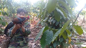 Bẫy gà rừng.mùng 2 tết bổi tơ quá sung