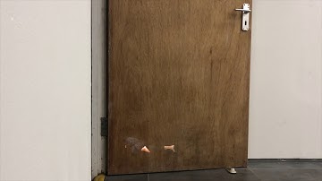 Slade MA/MFA/PhD Degree Show 2019