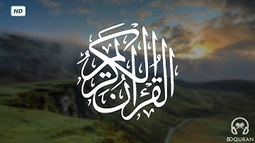 قرآن كريم بصوت سعد الغامدي | حالات واتس اب دينية - سورة البقرة