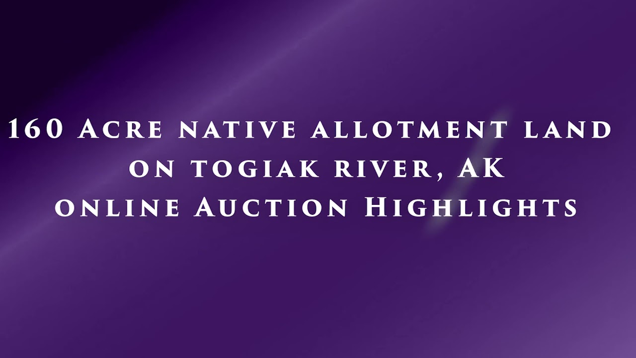 160 Acres of Native Allotment Land on Togiak River, AK Online Auction