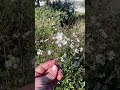 Создавайте свою библиотеку ароматов #каталония #испаниясегодня #вино #запах