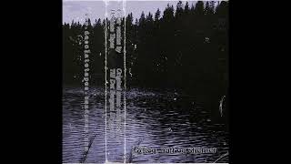 Desolate Tapes  - Skog, Natt Og Stjerner (Till Det Bergens Skyggene cover) / Tape edition