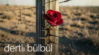 Dertli Bülbül - Gülü Dikene Yar Ettin
