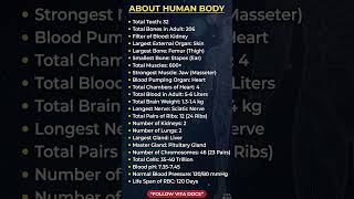 Amazing Facts About the Human Body You Probably Didn’t Know | Vita Docs