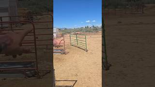 building a pin #farming #trending building a pin #farming #trending