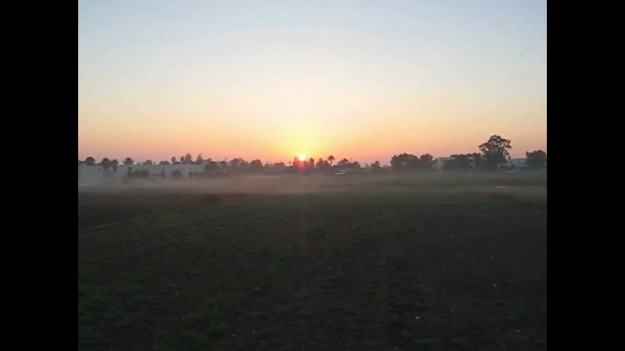 Morning Mist and Sunrise with Birds Singing | Kos Island - Greece