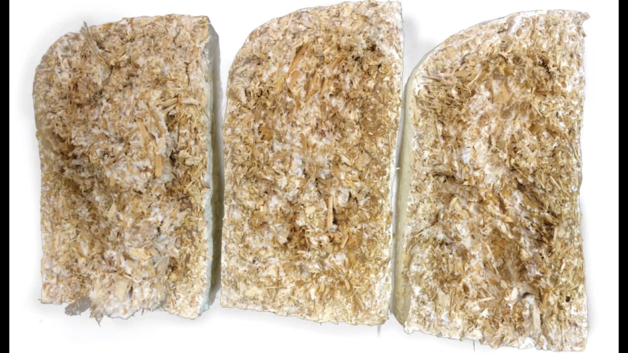 Paradigm Shift Keynote