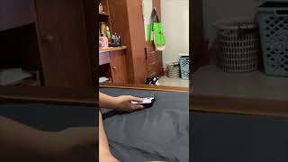 Kitten Falls to the Ground Attempting to Jump at a Girl