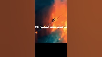 تلاوة خاشعة للشيخ يوسف الصقير #لا_اله_الا_الله #اكسبلور #قران #لايك #المصحف #راحة_نفسية