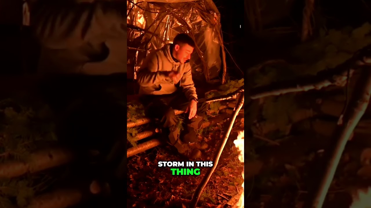 Строительство убежища в дикой природе в одиночку для выживания и комфорта