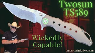 Twosun TS589 #knifereview #knifedisassembly