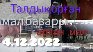 ТАЛДЫҚОРҒАН МАЛ БАЗАРЫ 4.12.2022ж Ірі қара, жылқылар бағалары #малбазар2022#талдыкорган