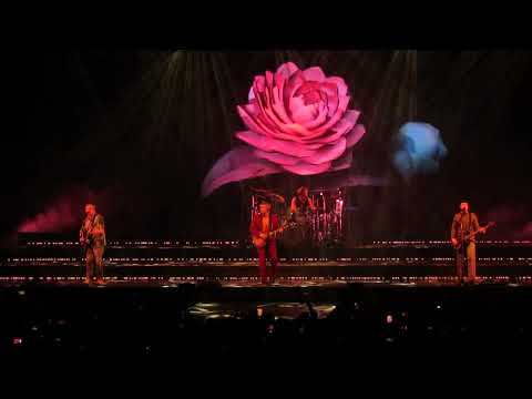 Wildflower 5sos Amsterdam 