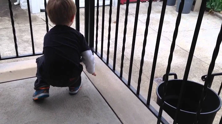 A toddler, his butterfly, and the circle of life