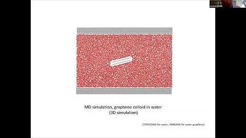 Graphene nanohydrodynamics: understanding behaviour of sheared dispersions of 2D material nanoplates