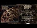 Putrefaction Sets In - Goregrind Album (2022) 💀