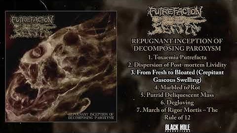 Putrefaction Sets In - Repugnant Inception Of Decomposing Paroxysm FULL ALBUM (2022 - Goregrind)