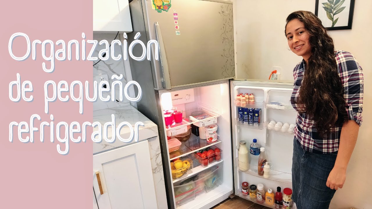 Organización de refrigerador pequeño/ como organizar refrigerador  #organizacionylimpieza
