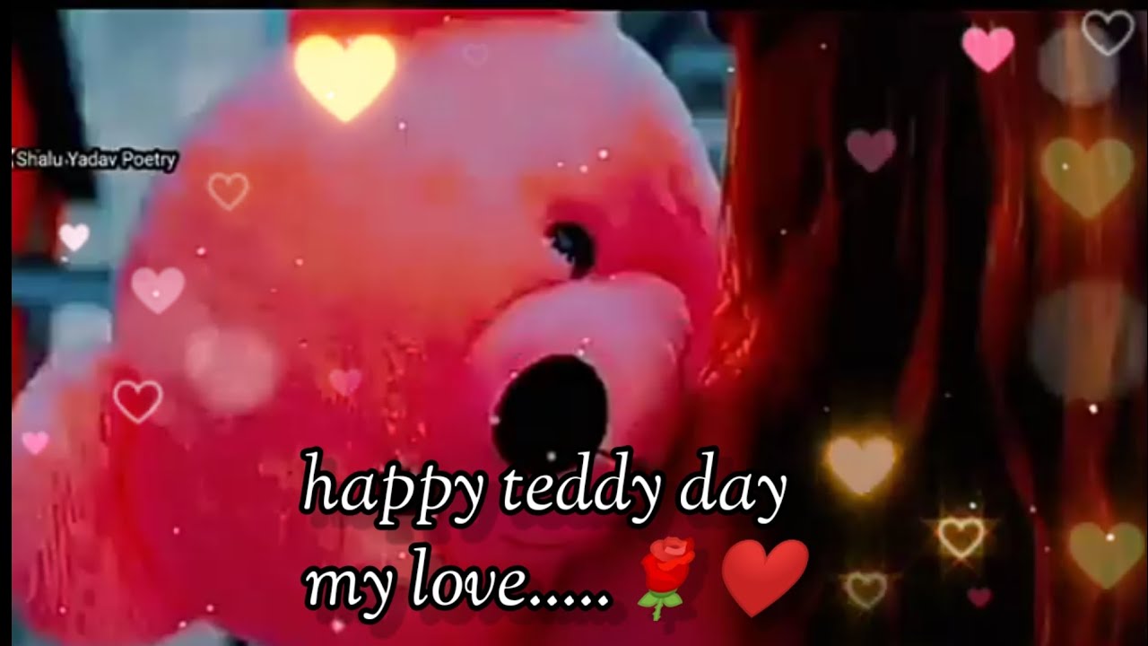 10 February status 🌹|| Happy Teddy Day Status