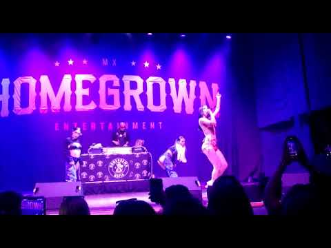 @AKASHA "me lo pide" live houston USA tour homegrown mafia - YouTube