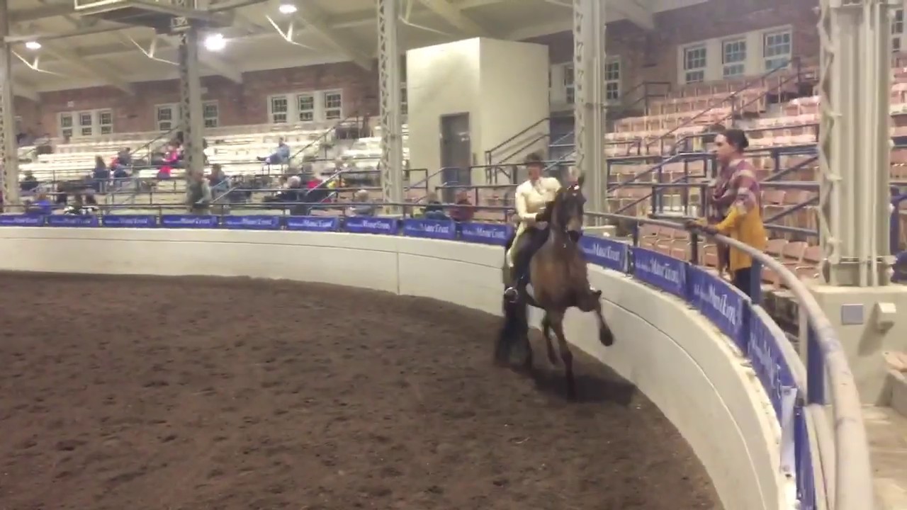 Monnington Status Quo-Mane Event 2019